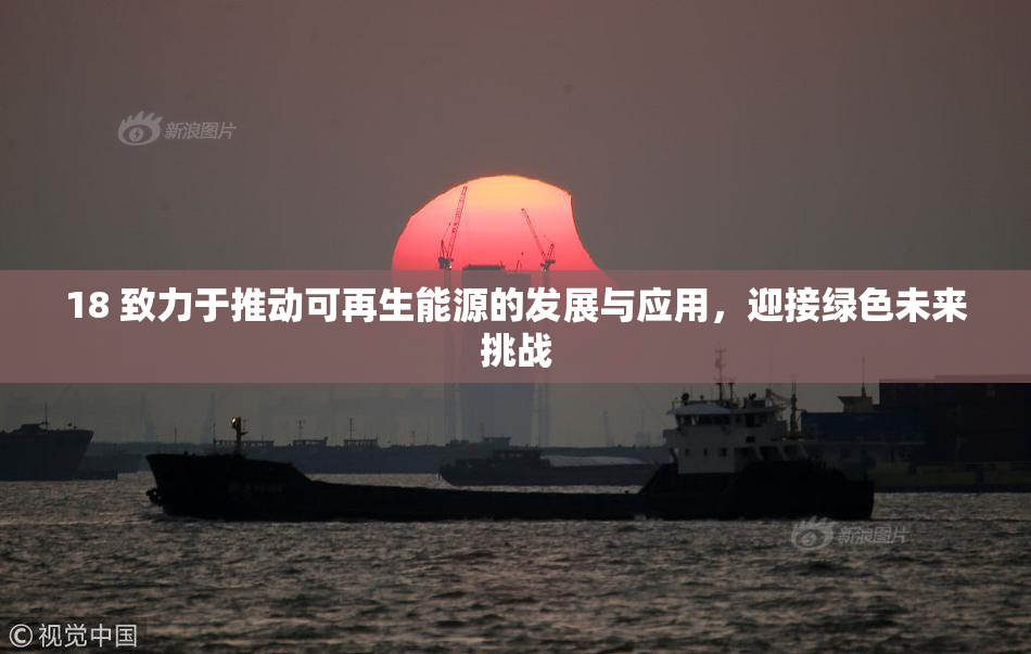 18 致力于推动可再生能源的发展与应用，迎接绿色未来挑战