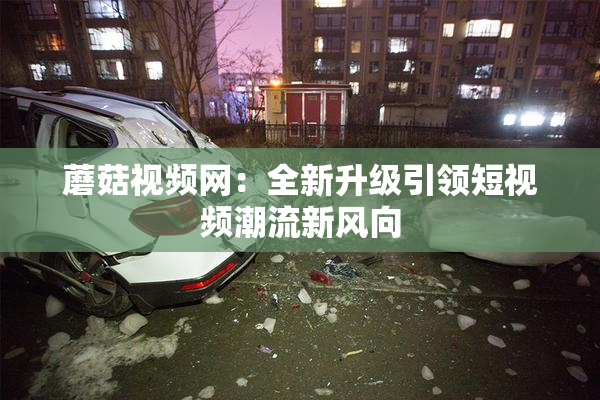 蘑菇视频网：全新升级引领短视频潮流新风向