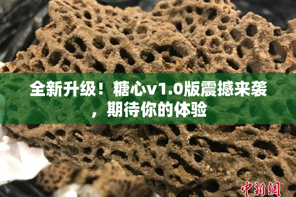 全新升级！糖心v1.0版震撼来袭，期待你的体验