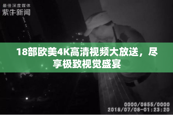 18部欧美4K高清视频大放送，尽享极致视觉盛宴