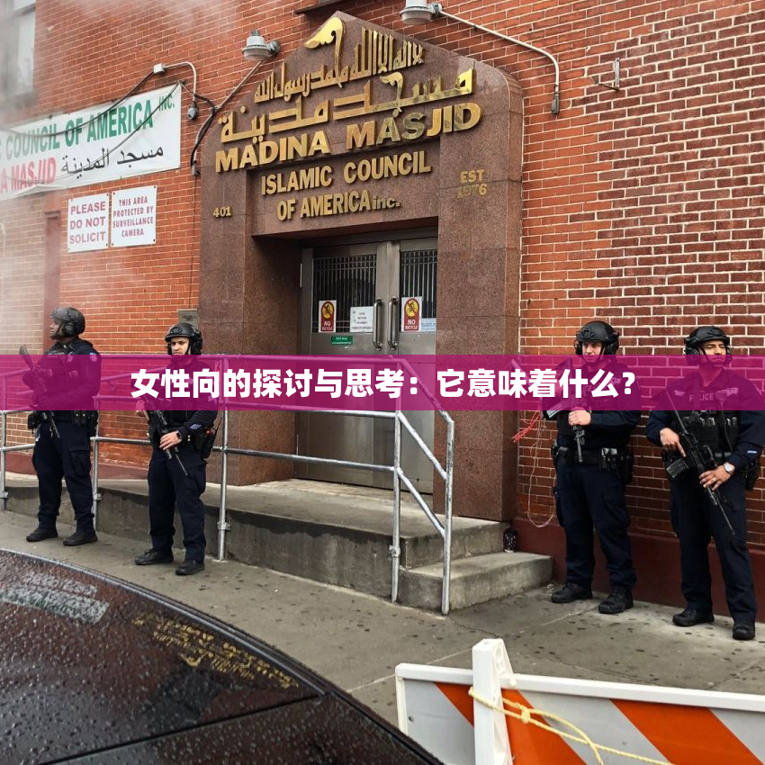 女性向的探讨与思考：它意味着什么？