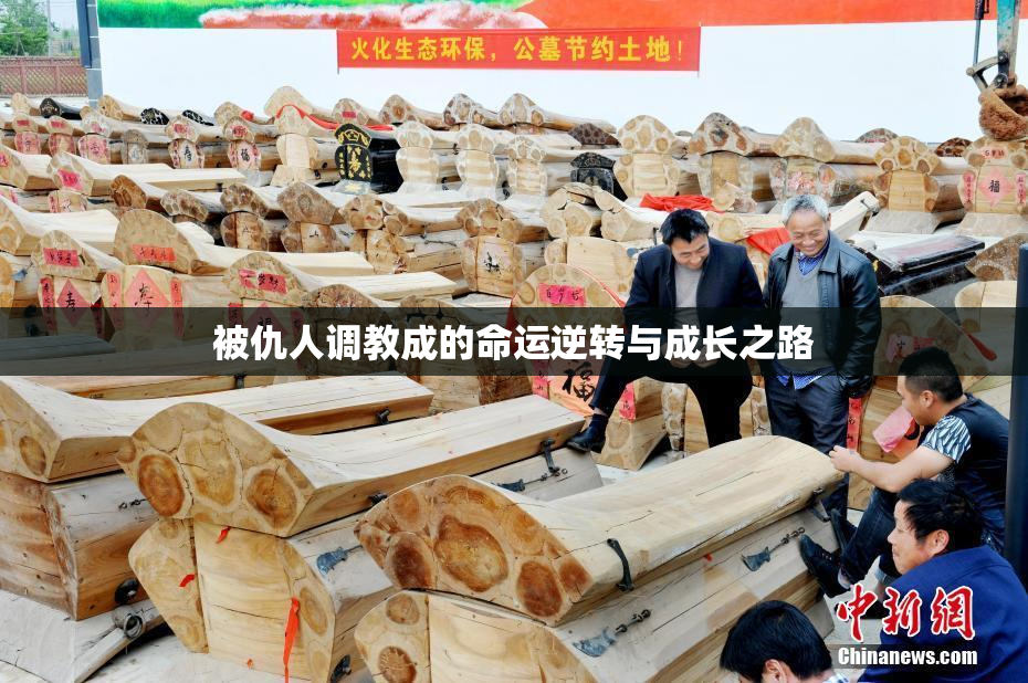 被仇人调教成的命运逆转与成长之路
