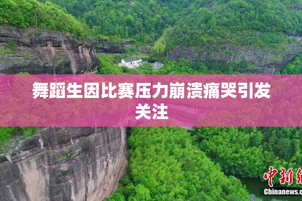 舞蹈生因比赛压力崩溃痛哭引发关注