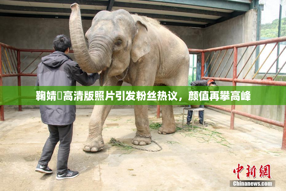 鞠婧祎高清版照片引发粉丝热议，颜值再攀高峰