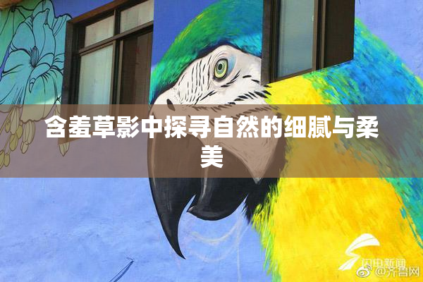 含羞草影中探寻自然的细腻与柔美