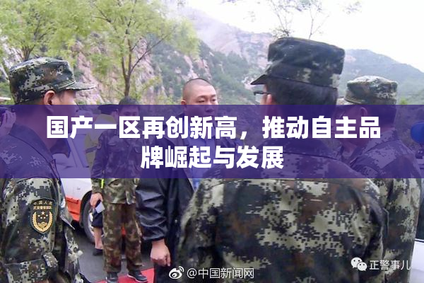 国产一区再创新高，推动自主品牌崛起与发展