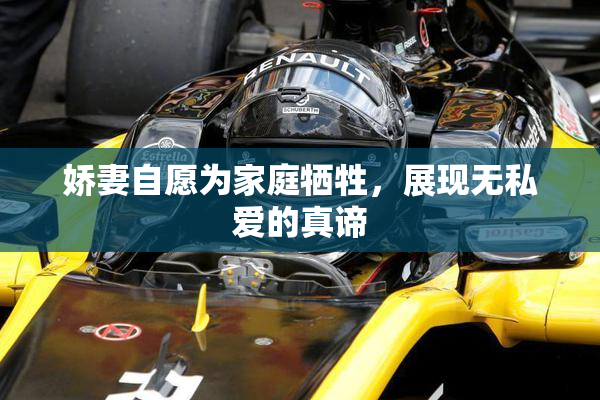 娇妻自愿为家庭牺牲，展现无私爱的真谛