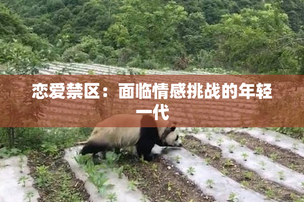 恋爱禁区：面临情感挑战的年轻一代