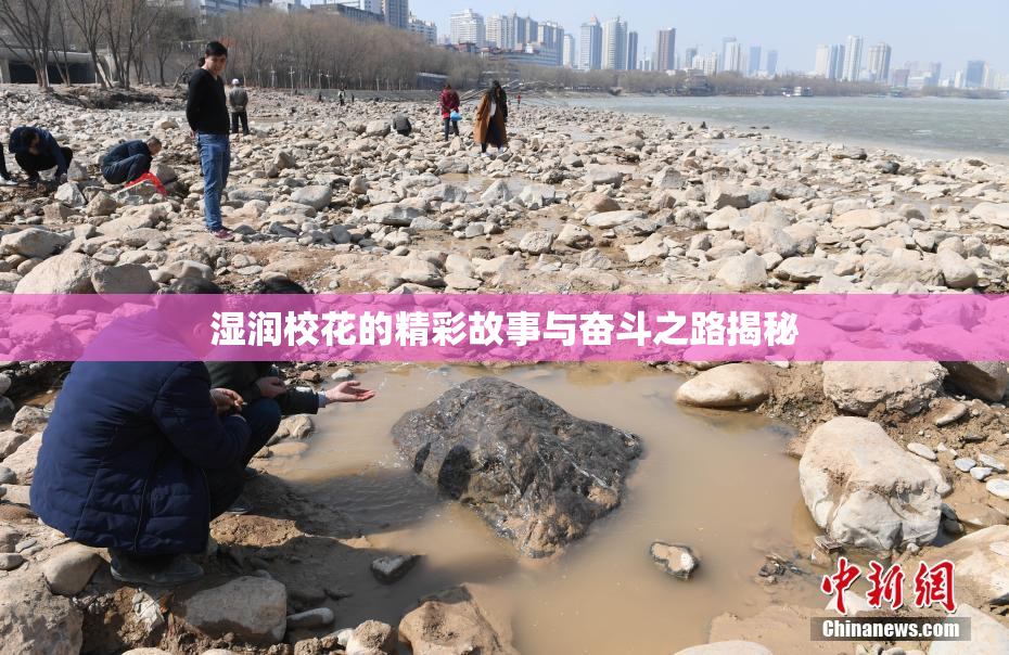 湿润校花的精彩故事与奋斗之路揭秘