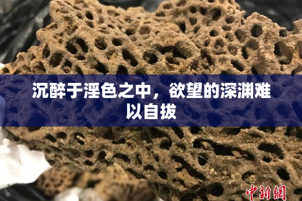 沉醉于淫色之中，欲望的深渊难以自拔