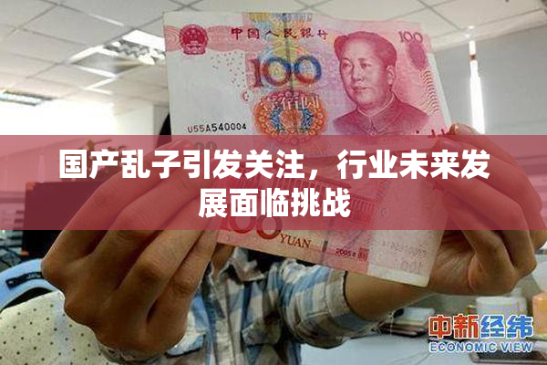 国产乱子引发关注，行业未来发展面临挑战