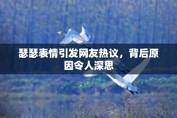 瑟瑟表情引发网友热议，背后原因令人深思