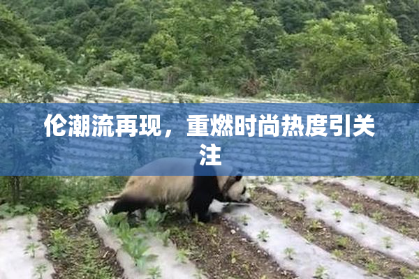 伦潮流再现，重燃时尚热度引关注