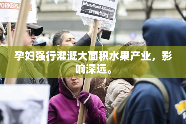 孕妇强行灌溉大面积水果产业，影响深远。