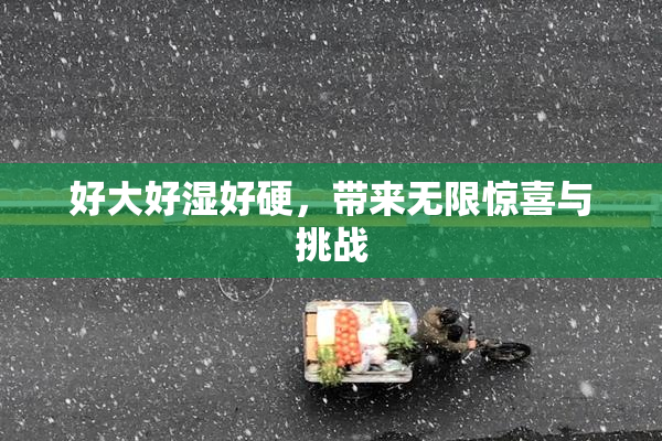 好大好湿好硬，带来无限惊喜与挑战