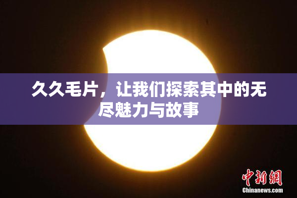 久久毛片，让我们探索其中的无尽魅力与故事