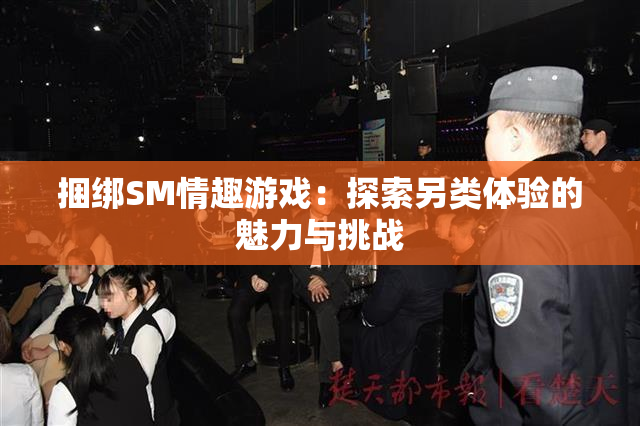 捆绑SM情趣游戏：探索另类体验的魅力与挑战