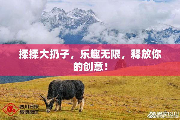 揉揉大扔子，乐趣无限，释放你的创意！