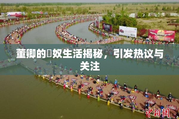 董卿的婬奴生活揭秘，引发热议与关注