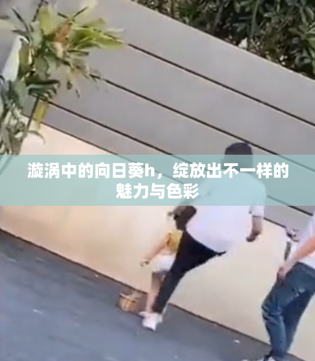 漩涡中的向日葵h，绽放出不一样的魅力与色彩