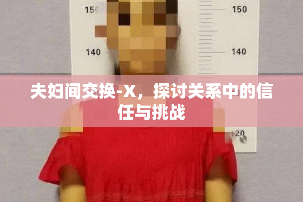 夫妇间交换-X，探讨关系中的信任与挑战