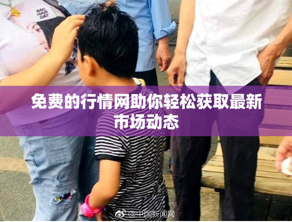 免费的行情网助你轻松获取最新市场动态