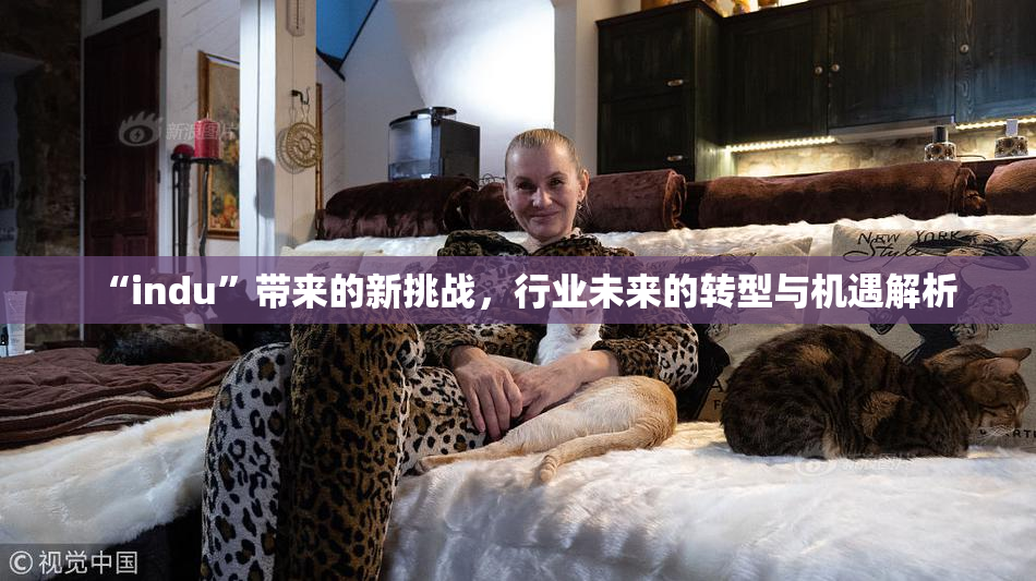 “indu”带来的新挑战，行业未来的转型与机遇解析