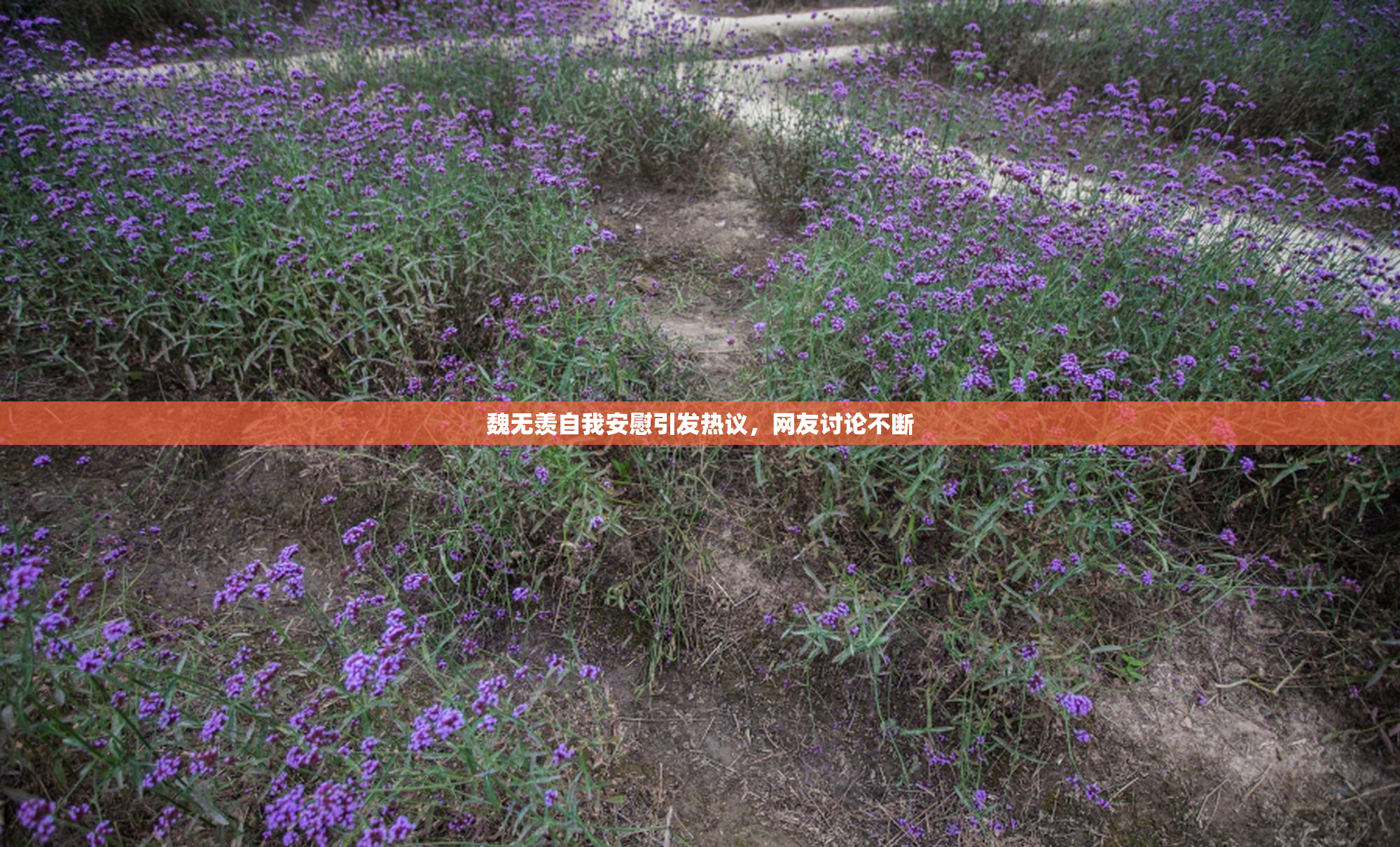 魏无羡自我安慰引发热议，网友讨论不断