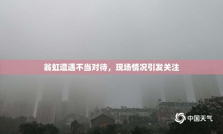 翁虹遭遇不当对待，现场情况引发关注