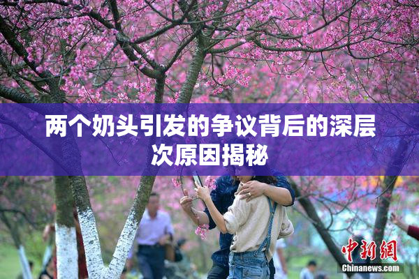 两个奶头引发的争议背后的深层次原因揭秘