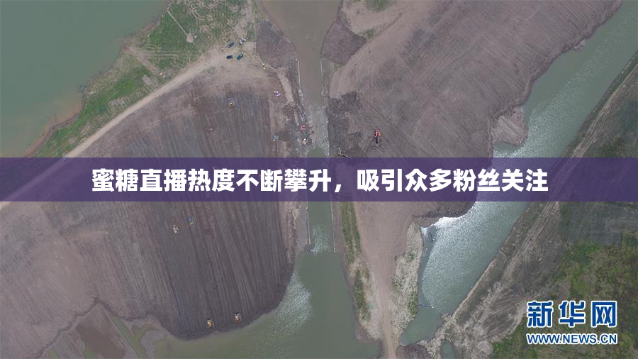 蜜糖直播热度不断攀升，吸引众多粉丝关注