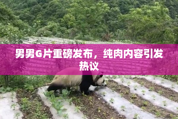 男男G片重磅发布，纯肉内容引发热议