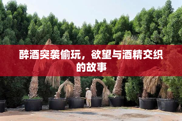 醉酒突袭偷玩，欲望与酒精交织的故事