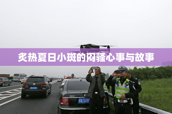 炙热夏日小斑的闷骚心事与故事
