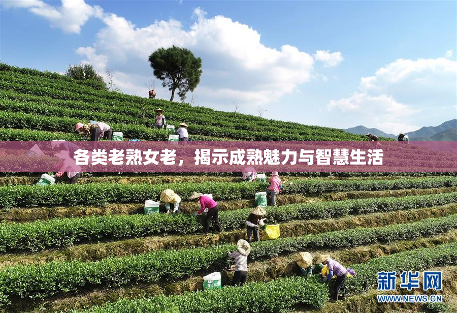 各类老熟女老，揭示成熟魅力与智慧生活