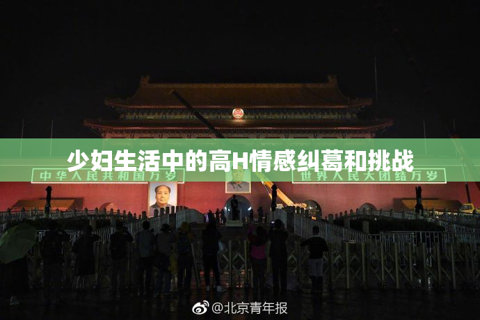 少妇生活中的高H情感纠葛和挑战