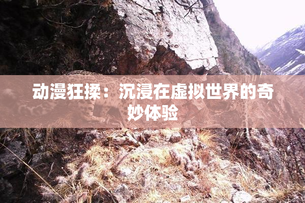 动漫狂揉：沉浸在虚拟世界的奇妙体验