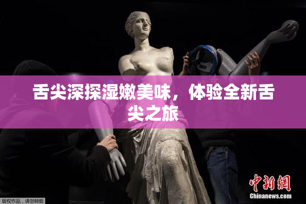 舌尖深探湿嫩美味，体验全新舌尖之旅