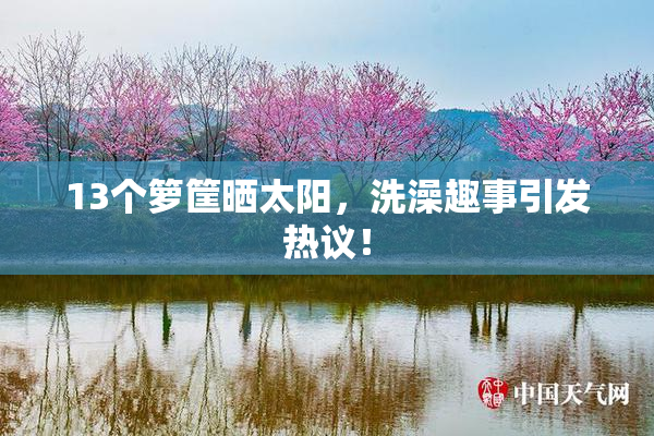 13个箩筐晒太阳，洗澡趣事引发热议！