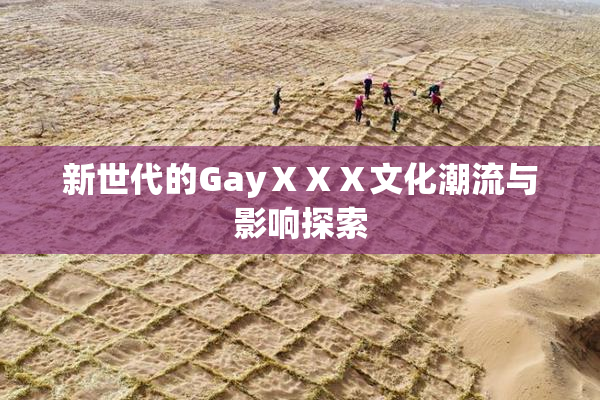 新世代的GayⅩⅩⅩ文化潮流与影响探索