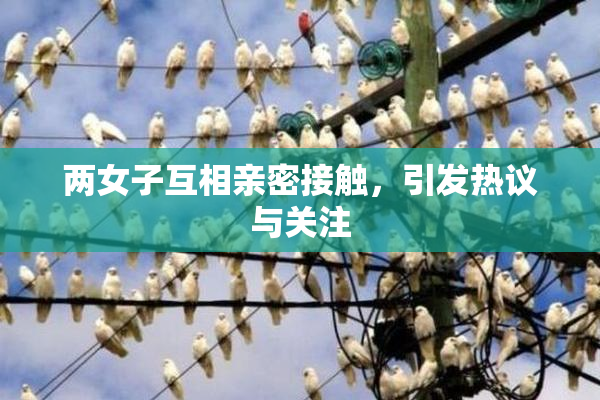 两女子互相亲密接触，引发热议与关注