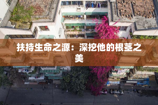扶持生命之源：深挖他的根茎之美