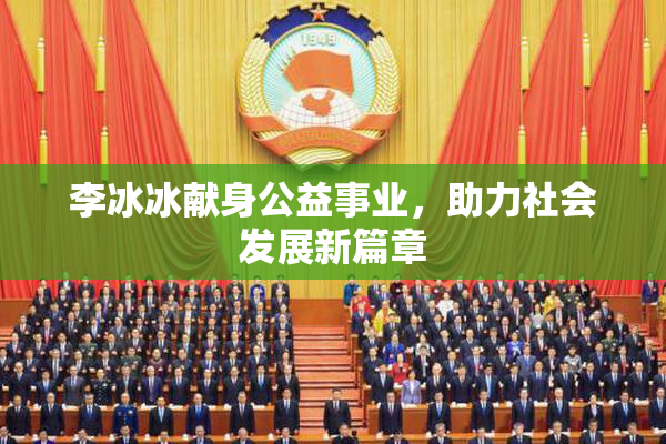 李冰冰献身公益事业，助力社会发展新篇章