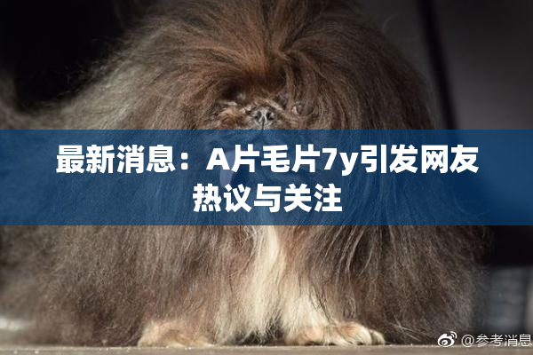 最新消息：A片毛片7y引发网友热议与关注