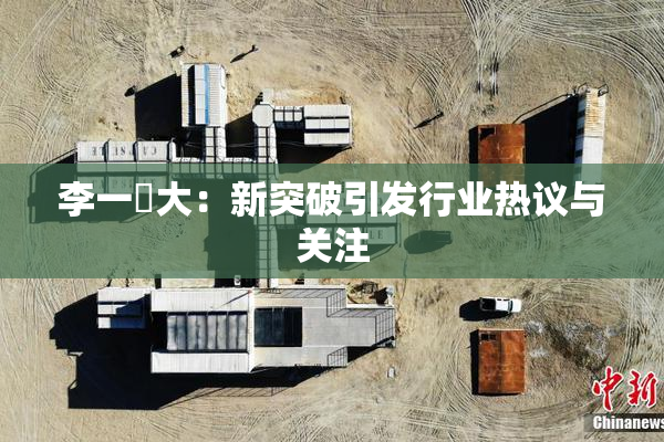 李一挏大：新突破引发行业热议与关注