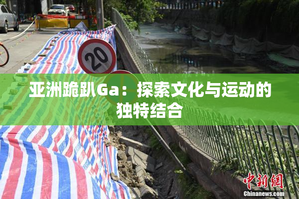 亚洲跪趴Ga：探索文化与运动的独特结合