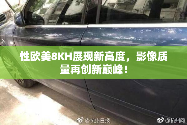 性欧美8KH展现新高度，影像质量再创新巅峰！