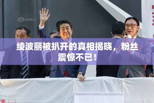 绫波丽被扒开的真相揭晓，粉丝震惊不已！