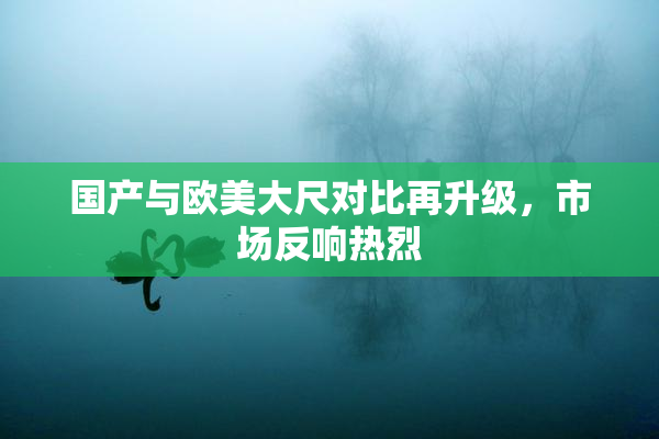 国产与欧美大尺对比再升级，市场反响热烈