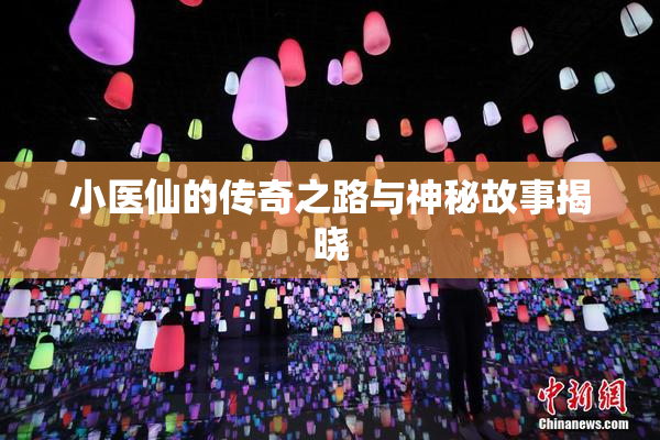 小医仙的传奇之路与神秘故事揭晓